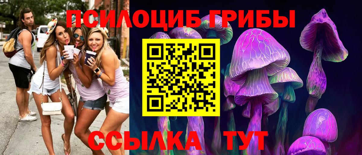 Псилоцибиновые грибы Psilocybine cubensis  Вход с VPN  Лесной 